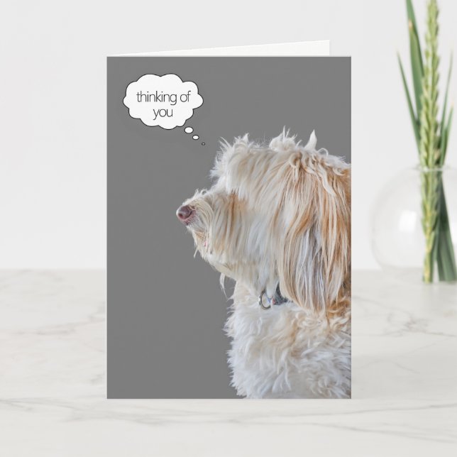 Shaggy Poodle Portrait Thinking of You Card (Front)