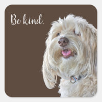 Shaggy Poodle with Quote
