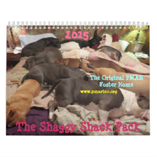 Shaggy Shack 2015 Calendar