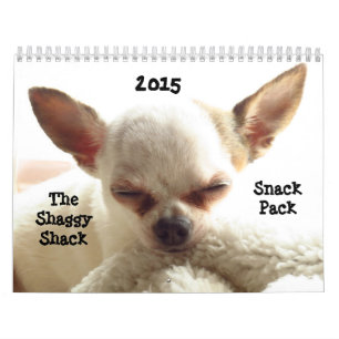 Shaggy Shack Snack Pack Calendar