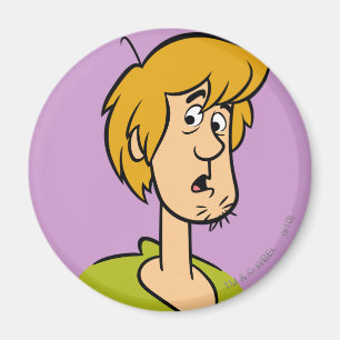 Shaggy Surprised Magnet