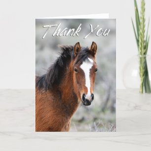 Shaggy Wild Mustang Photo Thank You Card