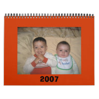 shahin 2007