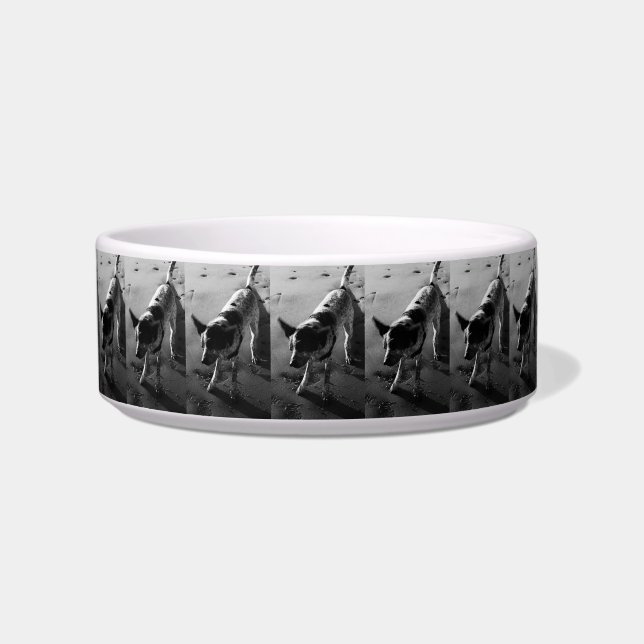Shake It! Bowl (Front)