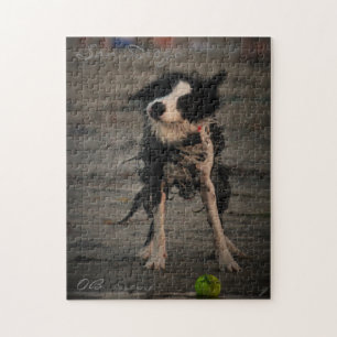 Shake it off jigsaw puzzle