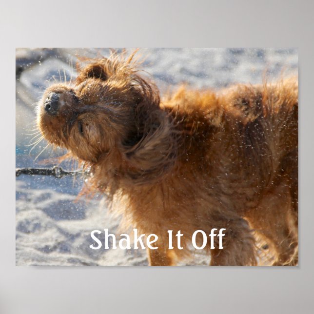 Shake It Off Poster (Front)