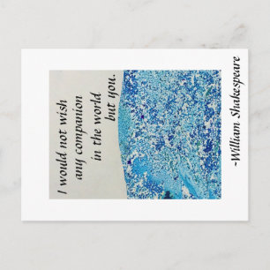 Shakespeare Friendship Quote Postcard