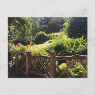 Shakespeare Garden NYC Central Park Photo Postcard