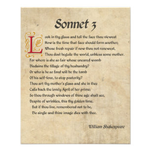 Shakespeare Sonnet 3 Parchment Photo Print