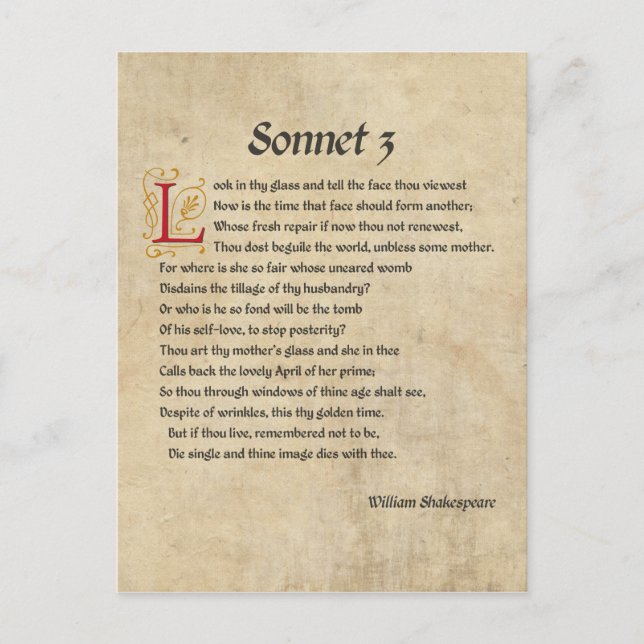 Shakespeare Sonnet 3 Parchment Postcard (Front)