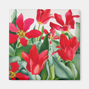 Shakespeare Tulips Magnet