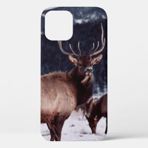 SHALLOW FOCUS PHOTO OF BROWN DEER iPhone 12 CASE