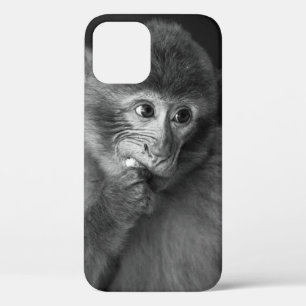 SHALLOW FOCUS PHOTOGRAPHY OF BLACK MONKEY iPhone 12 CASE