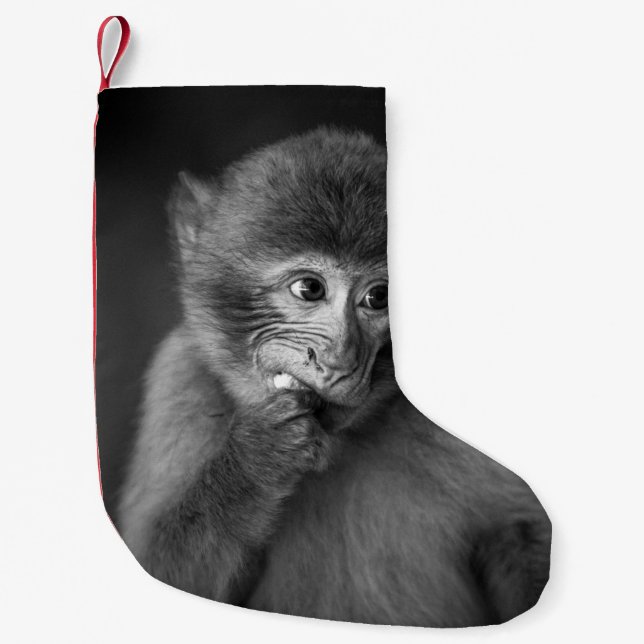SHALLOW FOCUS PHOTOGRAPHY OF BLACK MONKEY SMALL CHRISTMAS STOCKING (Front)