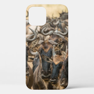 SHALLOW FOCUS PHOTOGRAPHY OF BROWN ANIMALS DURING iPhone 12 CASE