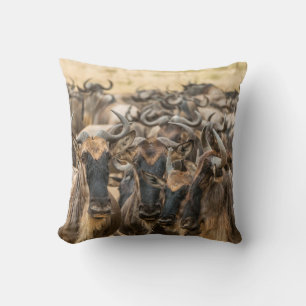 SHALLOW FOCUS PHOTOGRAPHY OF BROWN ANIMALS DURING  CUSHION