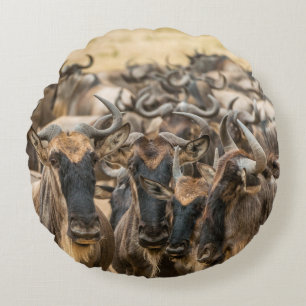 SHALLOW FOCUS PHOTOGRAPHY OF BROWN ANIMALS DURING  ROUND CUSHION