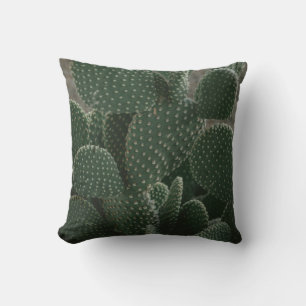 SHALLOW FOCUS PHOTOGRAPHY OF CACTUS CUSHION