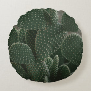 SHALLOW FOCUS PHOTOGRAPHY OF CACTUS ROUND CUSHION