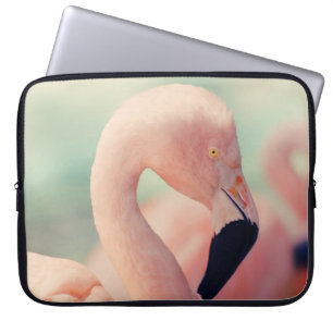 Shallow focus photography of pink flamingo laptop sleeve