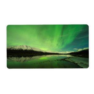 Shallows Aurora
