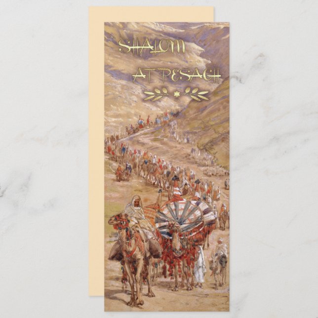 Shalom at Pesach. Fine Art Passover Greeting Card (Front/Back)