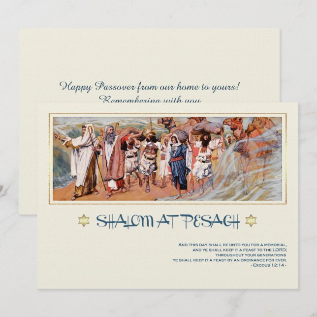 Shalom at Pesach. Fine Art Passover Greeting Card (Front/Back)