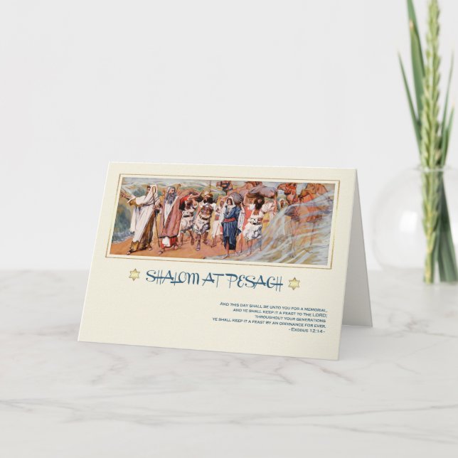 Shalom at Pesach. Fine Art Passover Greeting Card (Front)