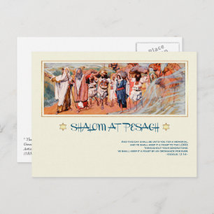 Shalom at Pesach.Fine Art Passover Postcard