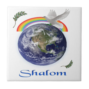 shalom ceramic tile