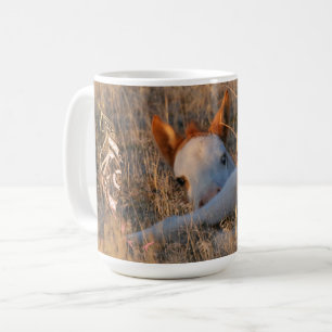 Shaman Filly Ceramic Mug (full image)