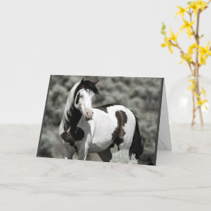 Shaman Folded Greeting Card