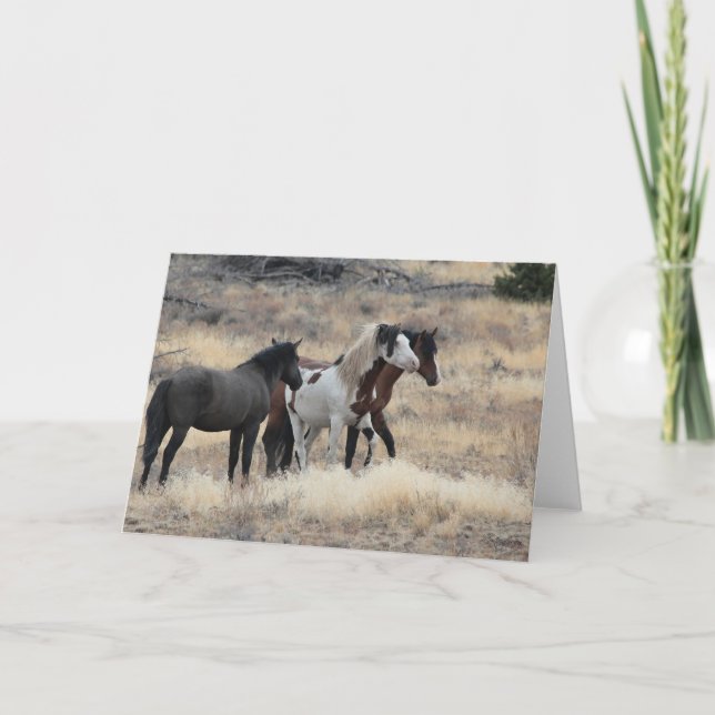 Shaman WildCard  Thank You Card (Front)