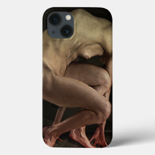 Shame 2012 iPhone 13 case