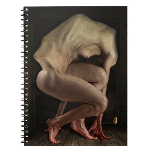 Shame 2012 notebook (Front)