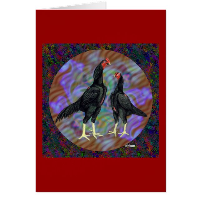 Shamo:  Black Pair (Front)