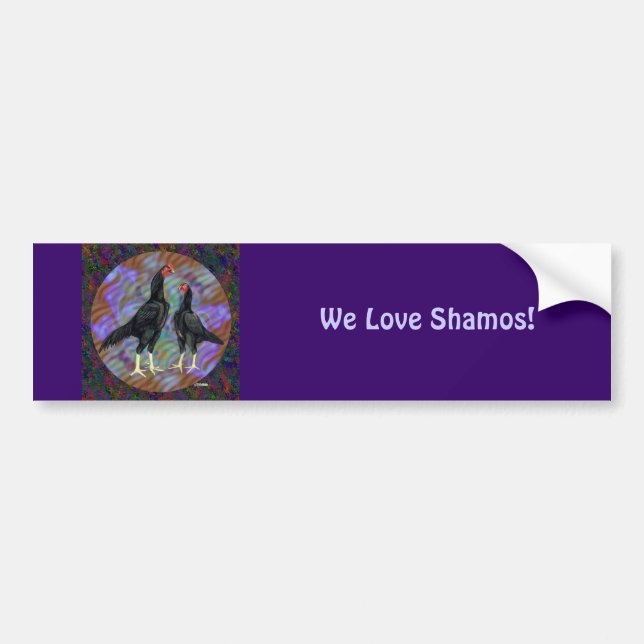 Shamo:  Black Pair Bumper Sticker (Front)