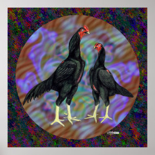 Shamo:  Black Pair Poster