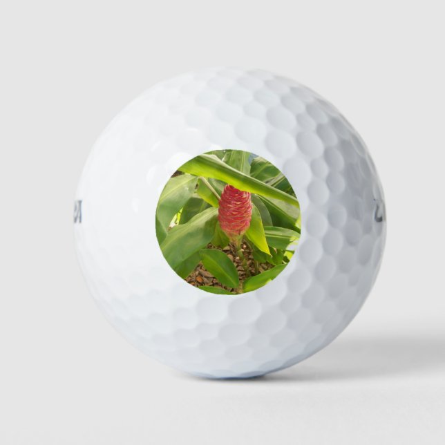 Shampoo Ginger flower Golf Balls (Front)