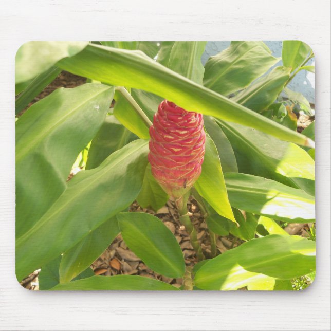 Shampoo Ginger flower Mouse Pad (Front)