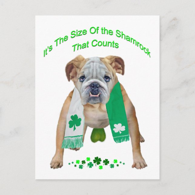 Shamrock Bulldog St. Patrick's Day Postcard (Front)