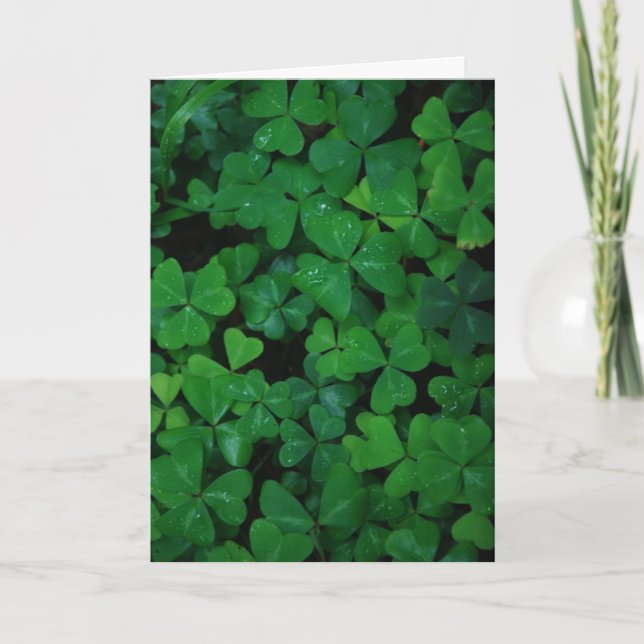 Shamrock Clover Card (Front)