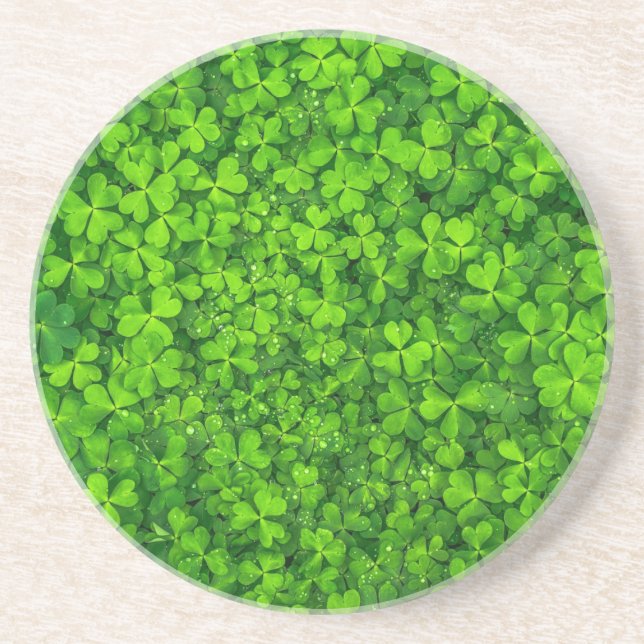 Shamrock Clovers Green Irish Symbol Ireland Coaster (Front)