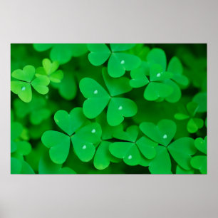 Shamrock image for poster