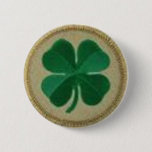 shamrock pin