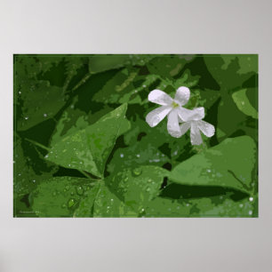 Shamrock Poster without Text -36x24 -or smaller