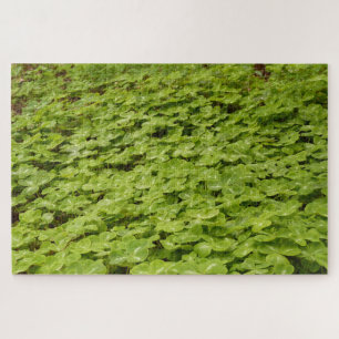Shamrock Puzzle
