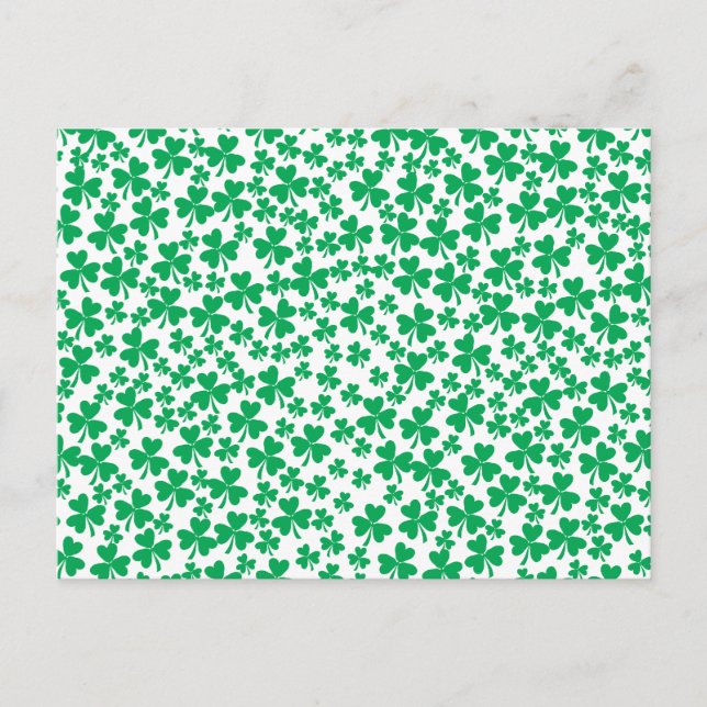 Shamrocks for St Patrick's Day Postcard (Front)