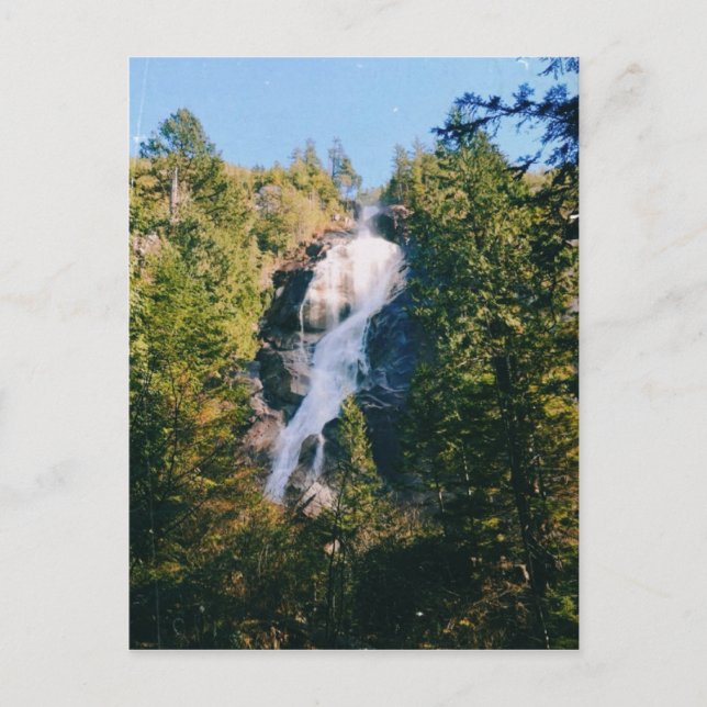 Shannon Falls, Squamish, Canada  Postcard (Front)