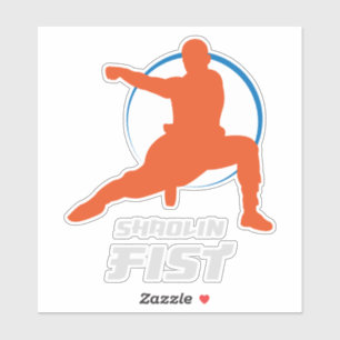 Shaolin Fist Kung Fu Warrior
